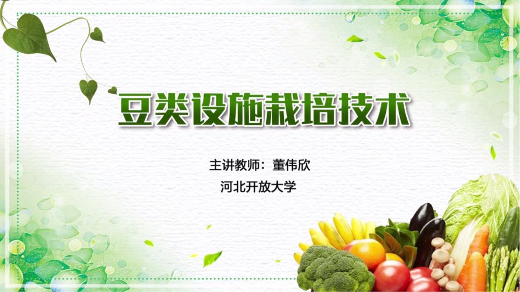 豆類設施栽培技術