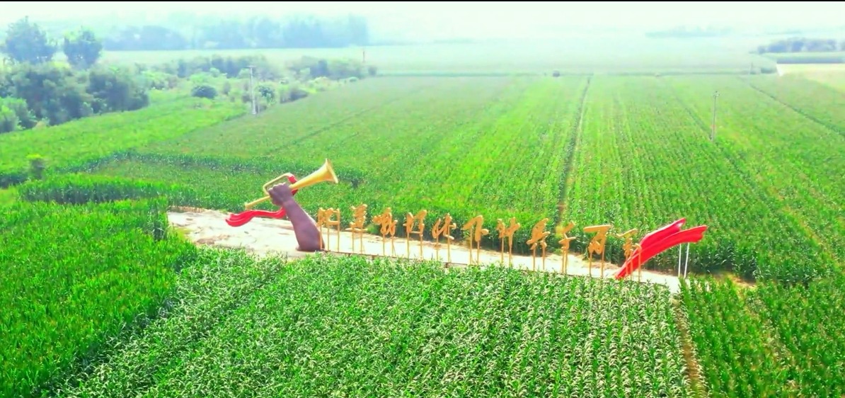 我的清苑，我的開大——張海萌